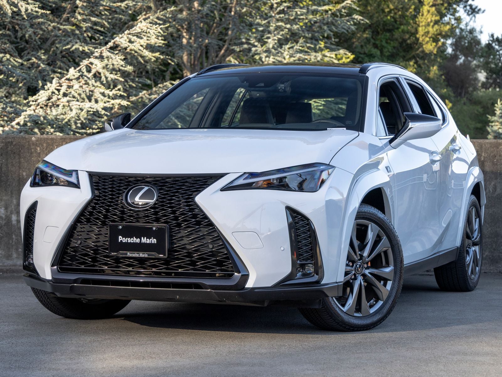 2024 Lexus UX 250h F SPORT Design