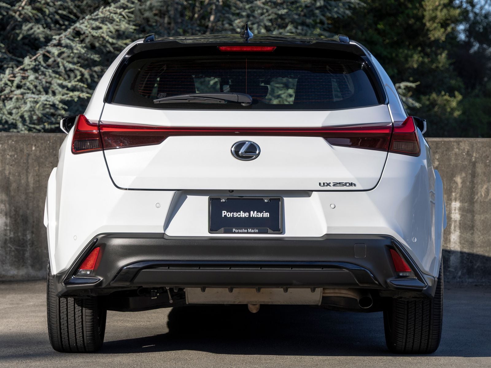 2024 Lexus UX 250h F SPORT Design