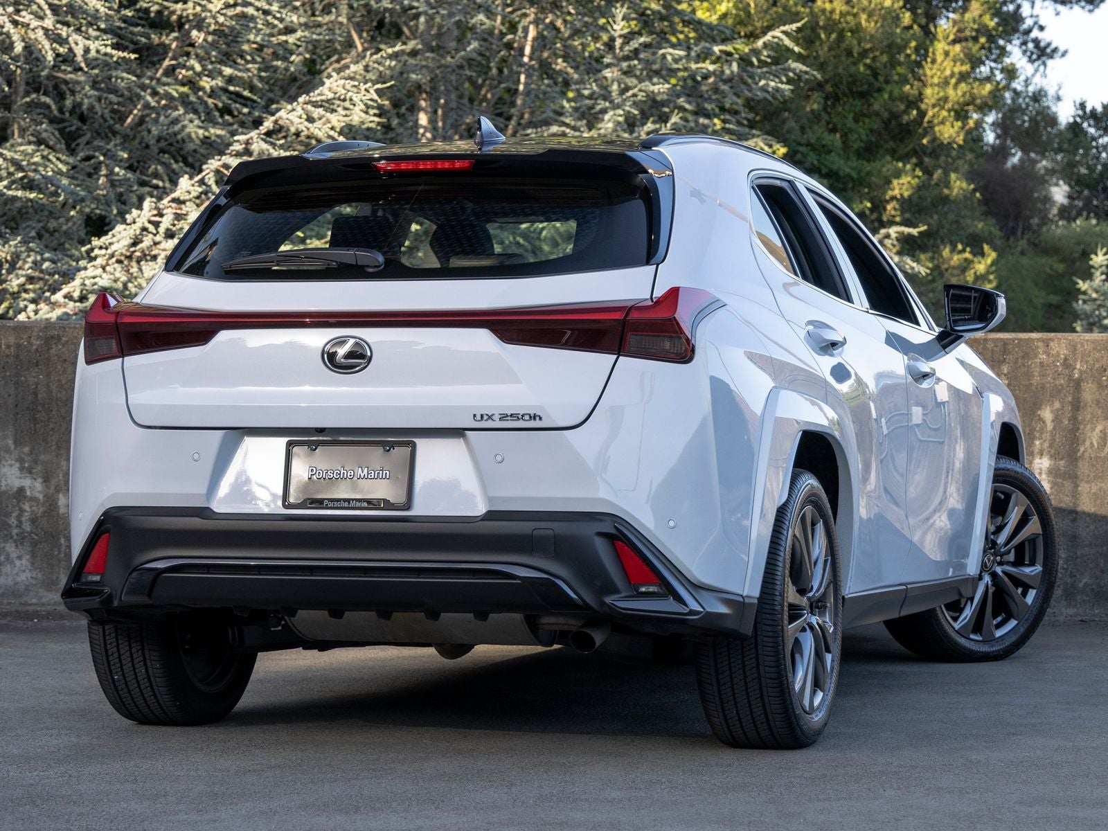 2024 Lexus UX 250h F SPORT Design