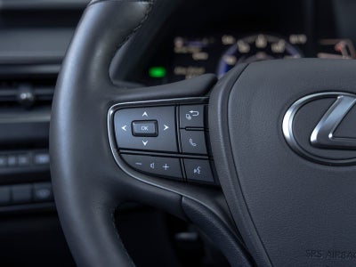 2024 Lexus UX 250h F SPORT Design