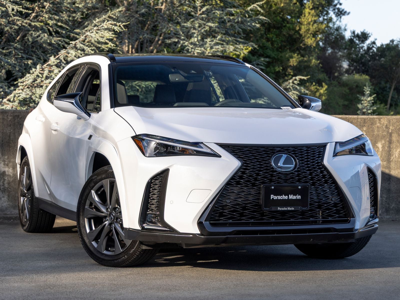 2024 Lexus UX 250h F SPORT Design