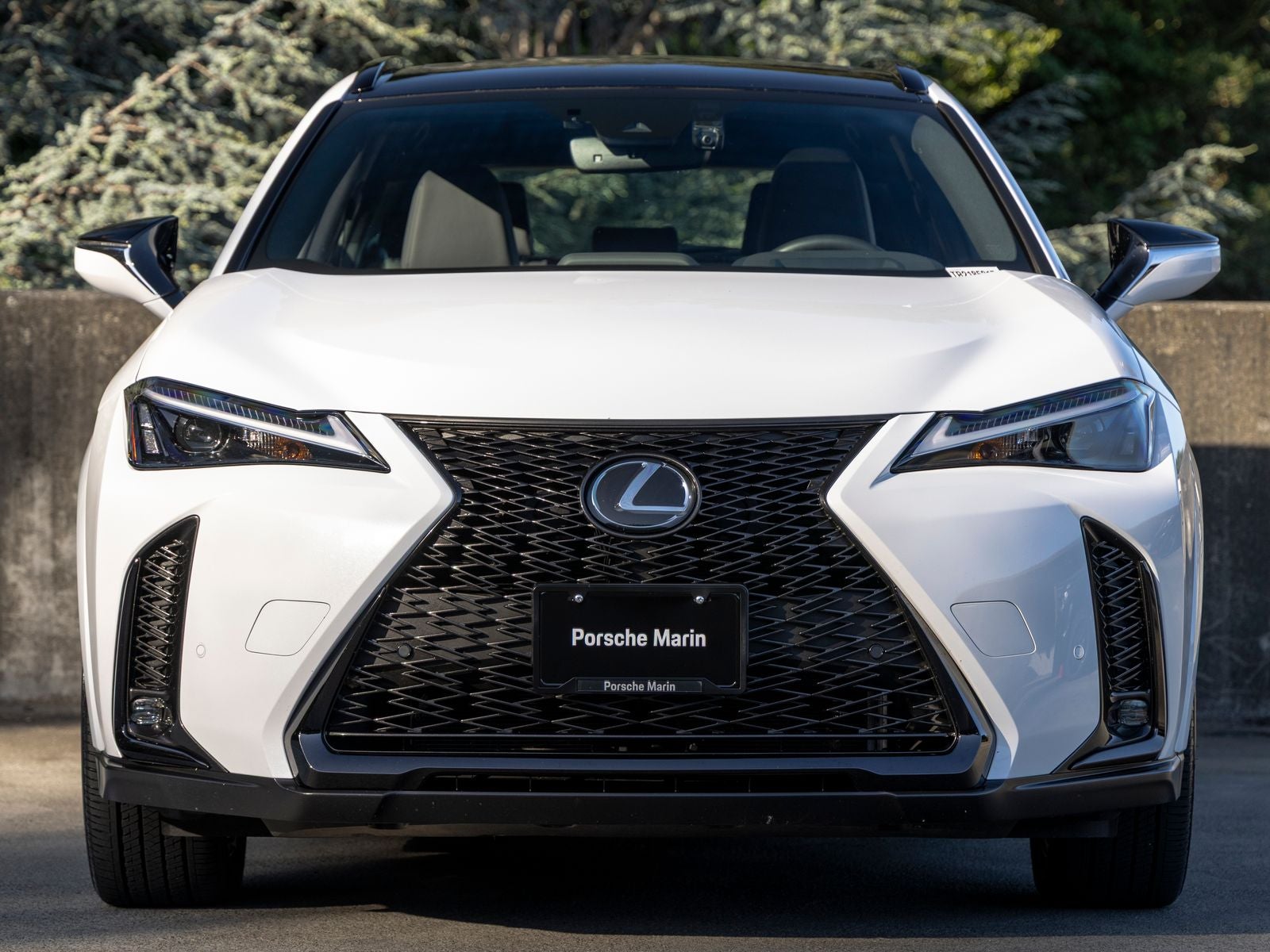 2024 Lexus UX 250h F SPORT Design