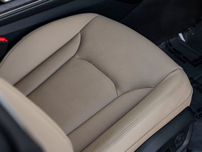 2024 Audi Q8 55 Premium Plus quattro