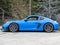2023 Porsche 718 718 Cayman GT4 RS (MY23)