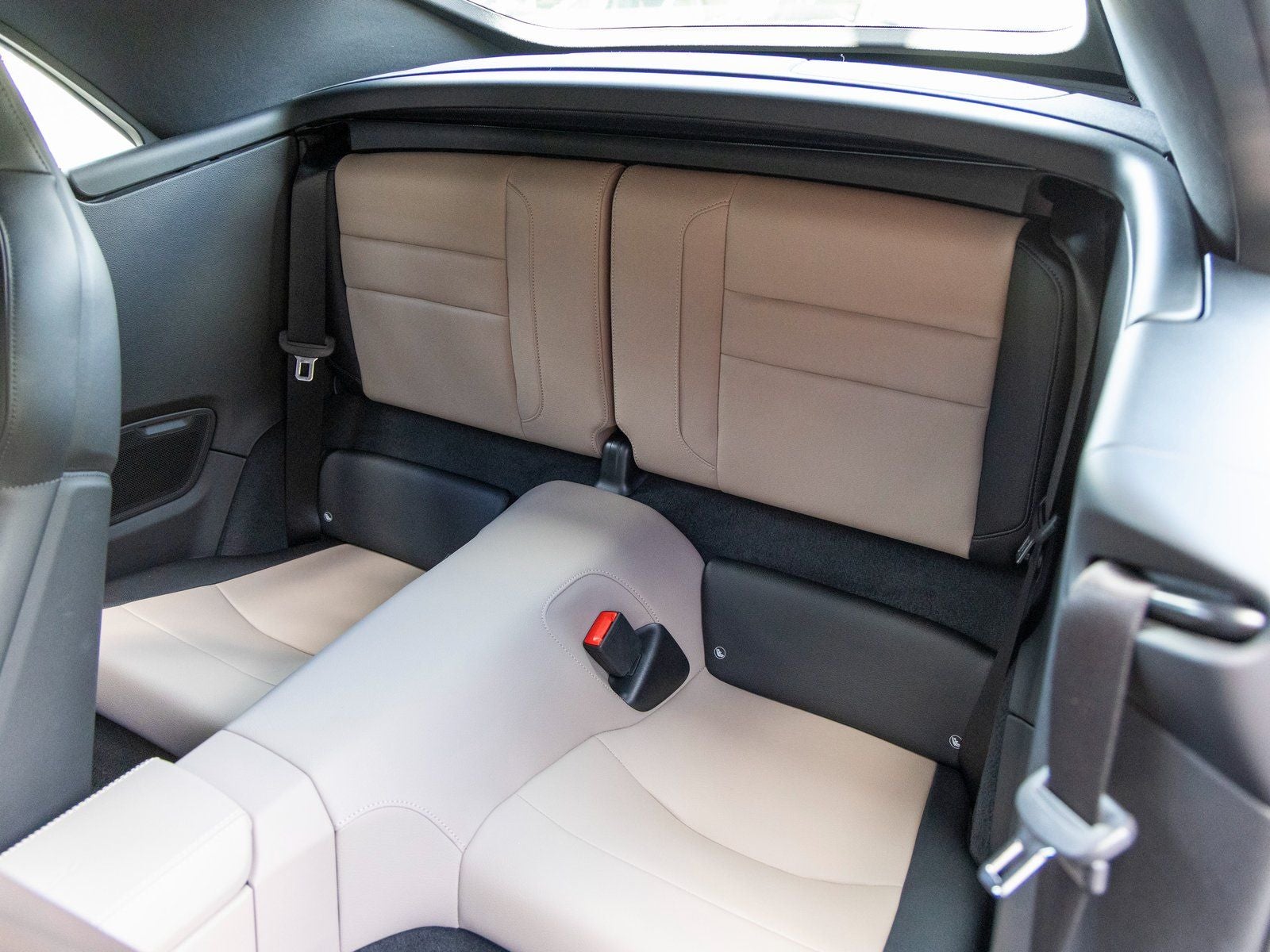 2025 Porsche 911 911 Carrera Cabriolet