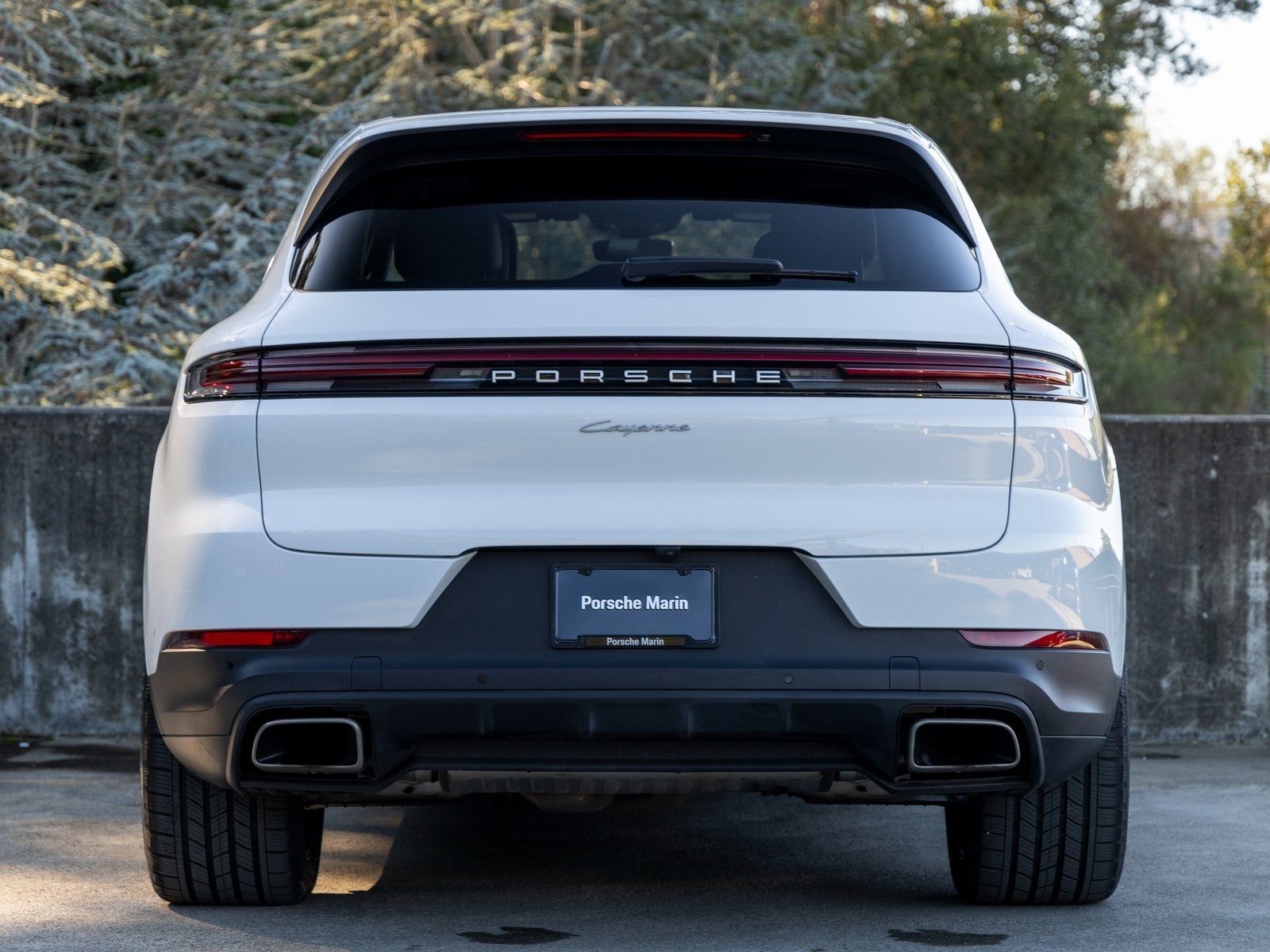 2025 Porsche Cayenne Cayenne