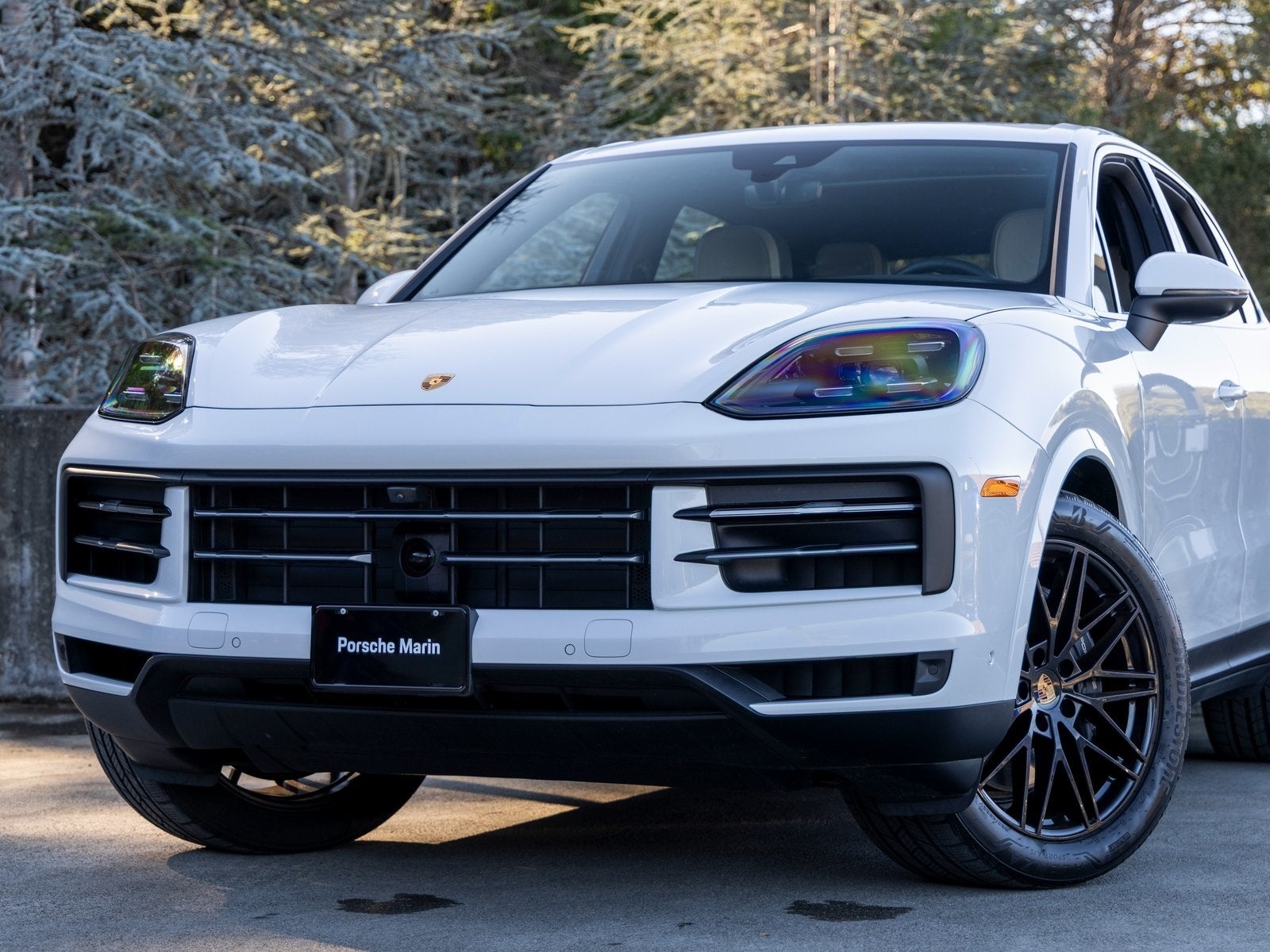 2025 Porsche Cayenne Cayenne
