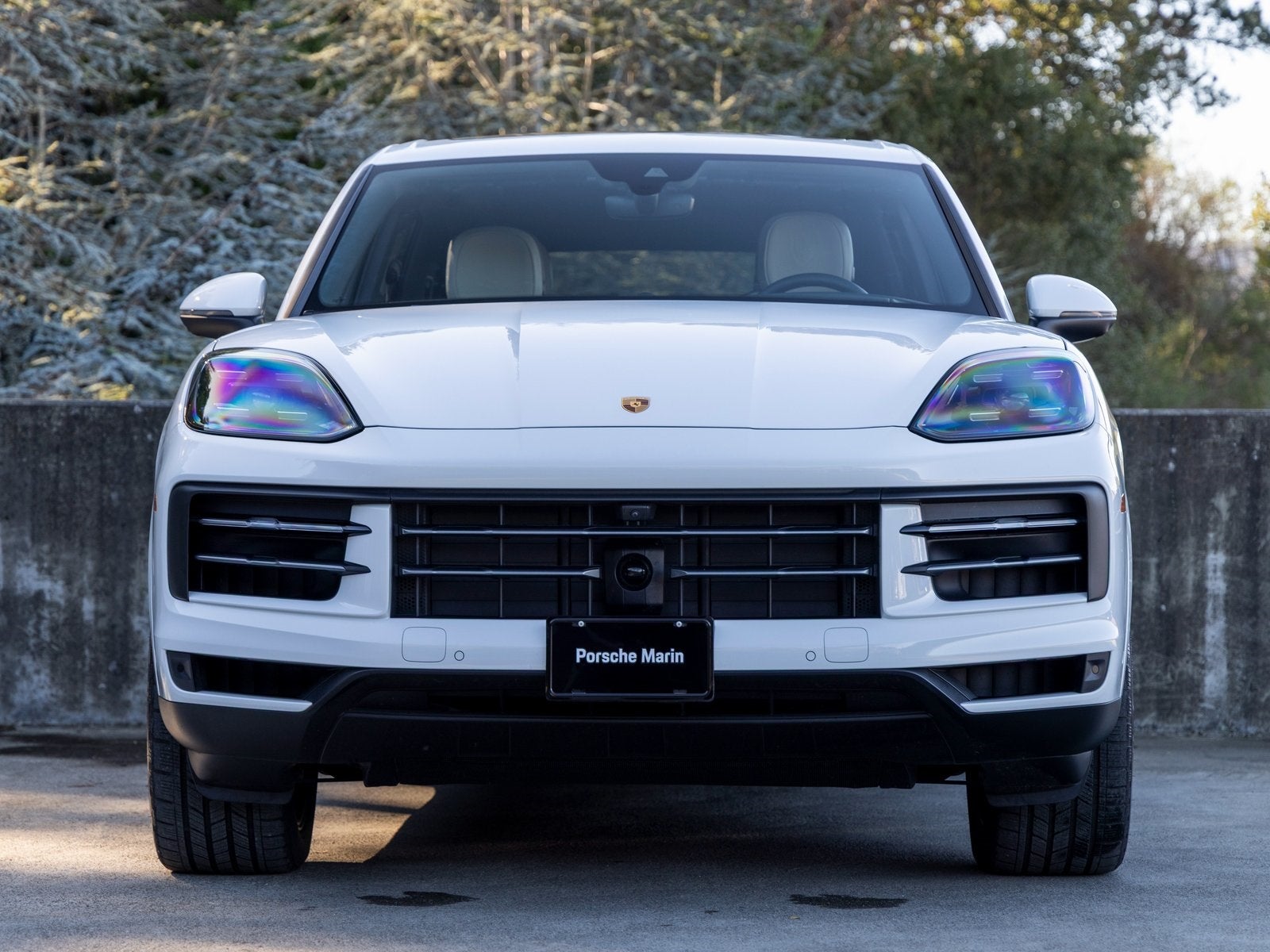 2025 Porsche Cayenne Cayenne