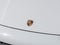 2023 Porsche Cayenne Cayenne E-Hybrid Platinum Edition (MY23)