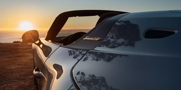 Porsche 911 Speedster Logo