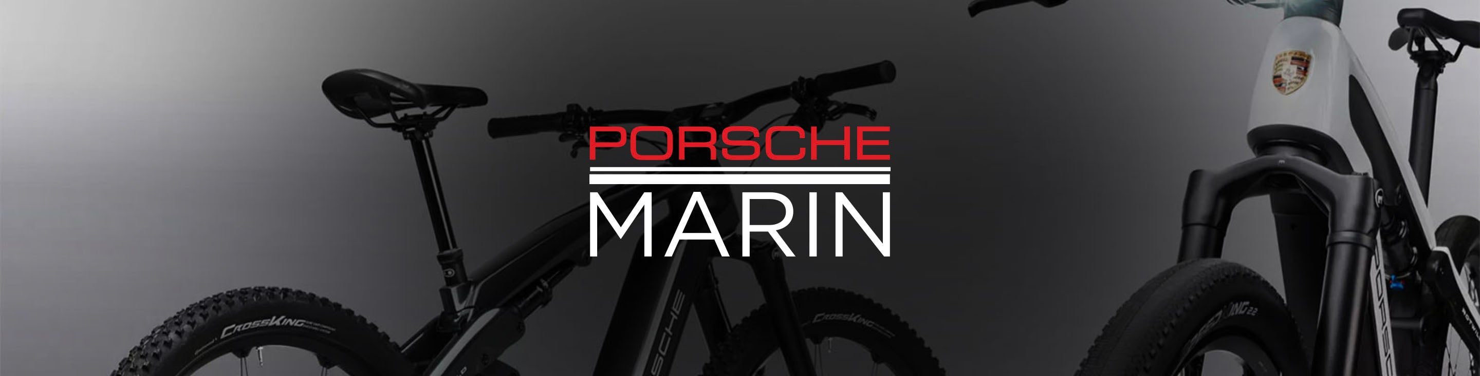 Rent a Porsche in Mill Valley CA